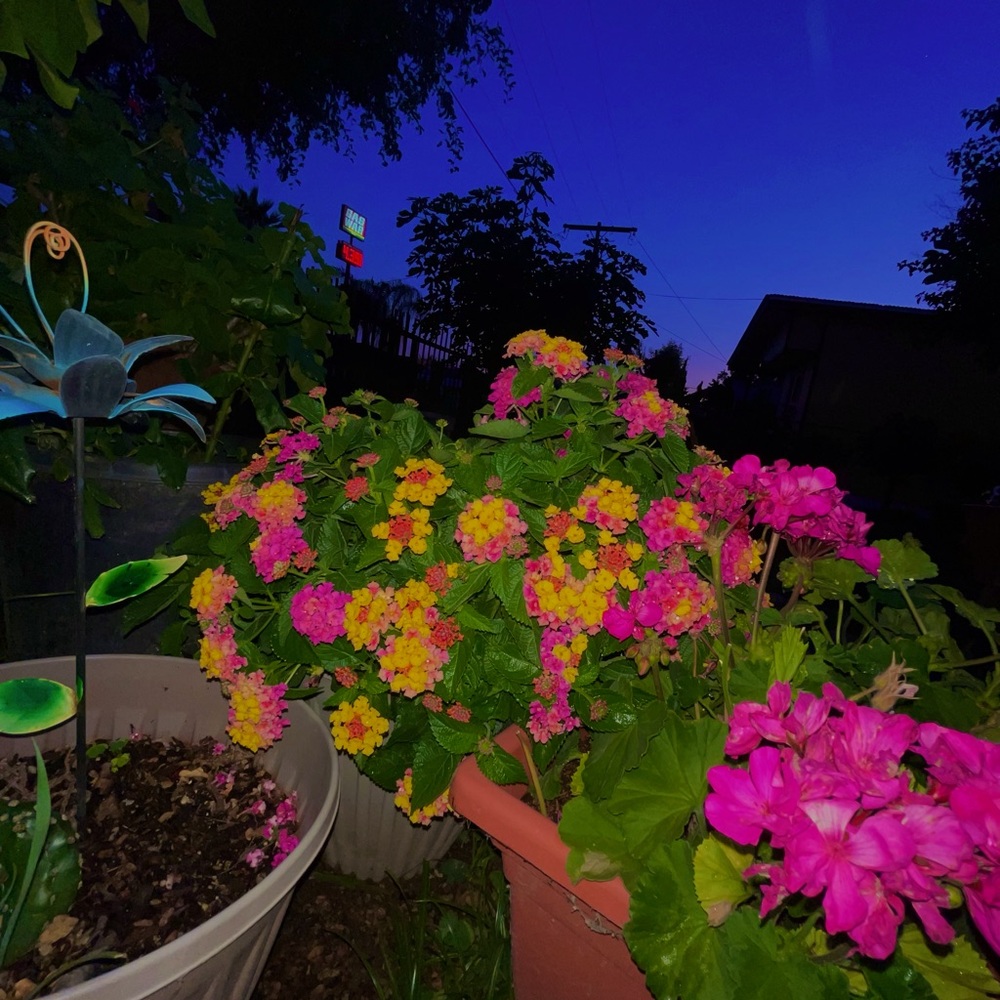 Meet your Posher, Sabrina